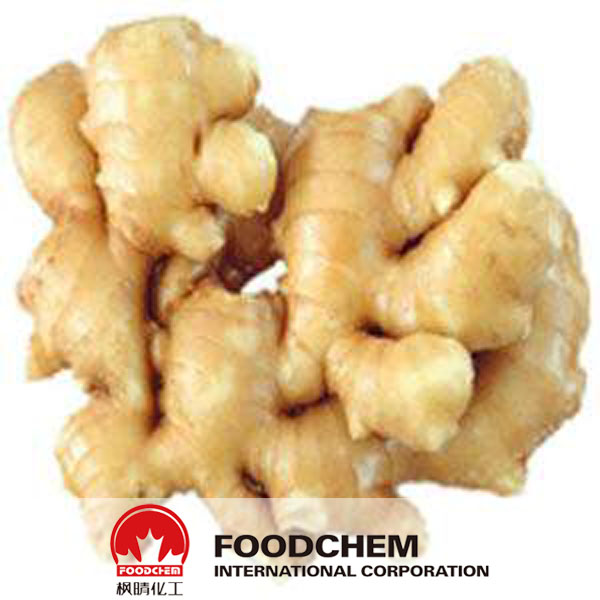 Ginger Extract suppliers